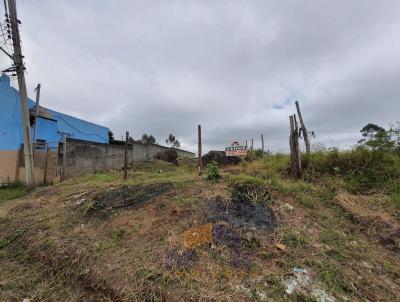 Terreno para Venda, em Suzano, bairro Parque Residencial Samambaia